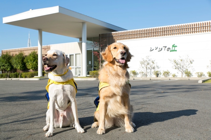 介助犬総合訓練センター「シンシアの丘」と介助犬 撮影:社会福祉法人日本介助犬協会