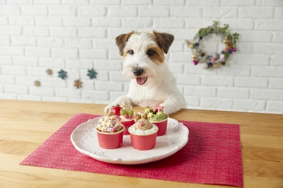 n6sfgPSAQe54ujBeo0Ak.jpg?w=940&h=940