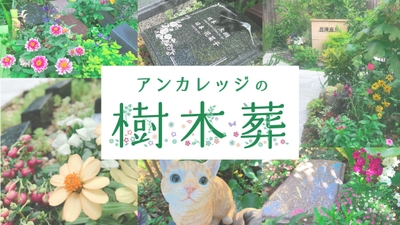 n85Rjyb6RikWEXsQ2qCd.jpg?w=940&h=940