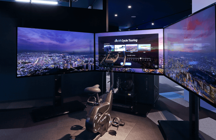 アルインコ社製フィットネスバイク