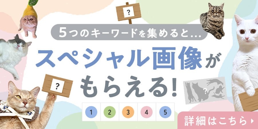2/25まで】2月のペピイは猫まみれ！？「PEPPYにゃんこフェスタ」を開催