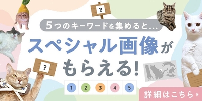 n8OH9li9w99WBAbETIZT.jpg?w=940&h=940