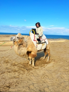 n9VOQzaUSFuFtHprUkKy.jpg?w=940&h=940