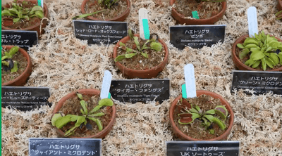 nAKgdeY2SheLti6UbiAm.png?w=940&h=940