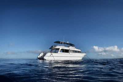 nAKxUj6FzcPZcaXFvU16.jpg?w=940&h=940