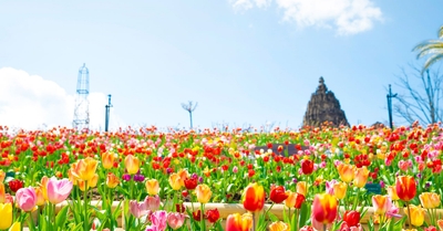 nAa1OcEDelkuhlCN3ELU.jpg?w=940&h=940