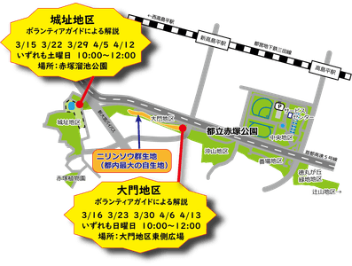 nB3qIxvSwFUHifs2KHW5.png?w=940&h=940