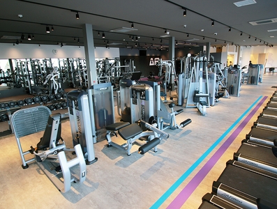 nBe8S5P9HY55RQ7DreGa.jpg?w=940&h=940