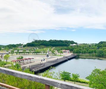 nBkiK2dohV1mUgMFNlMF.jpg?w=940&h=940