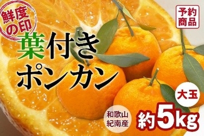 nCm2vjggby18i9P2OIav.jpeg?w=940&h=940