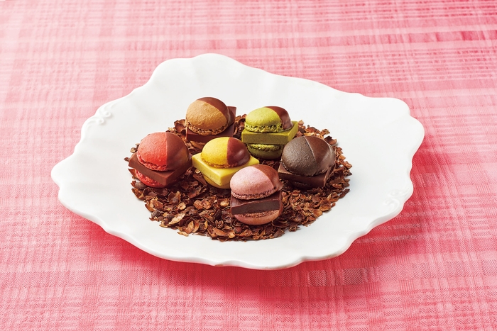 ソイルチョコレート＆ マメイルナマチョコレートマカロン