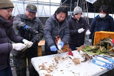 nEEaSeuS1kHEvNO8cqNh.JPG?w=940&h=940