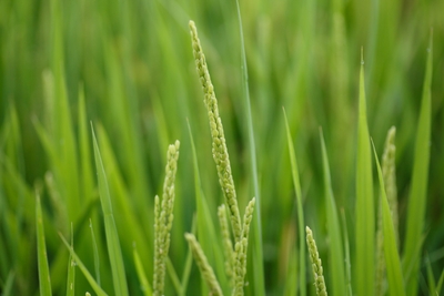 nERKy4qX4fNzTiQzSE4h.jpeg?w=940&h=940