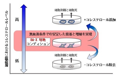 右図：DA-X培地コンディションは細胞膜のコレステロール量を最適化することで様々ながん細胞株の培養を可能にする