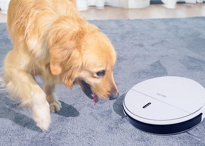 nFUxVsj7knafOYrbqCfX.jpg?w=940&h=940