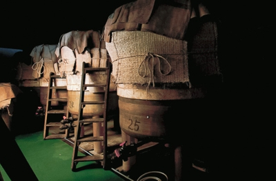 nFilNSr3Xy7ojxU3DtCl.jpg?w=940&h=940