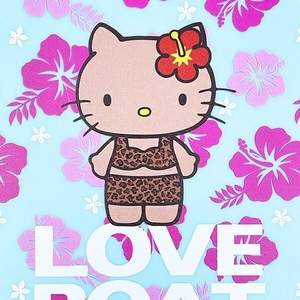 ラブボートのミラー