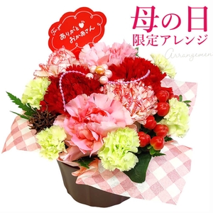 【母の日】アレンジメント・サンクス(https://www.exmail.co.jp/option_list/ffs002/)