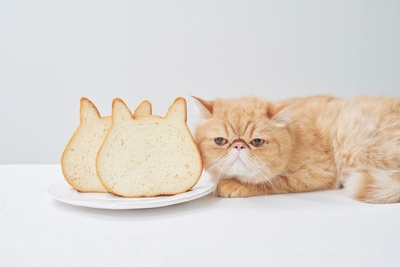 nI2BVtZBLt3MZeIxfDr0.jpg?w=940&h=940