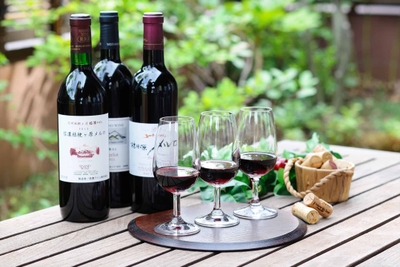 nIZ9e73g5WqZncoey8uc.jpg?w=940&h=940