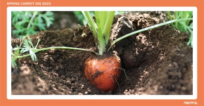 nJ0bKaBaa0KK6MDdAiWX.jpg?w=940&h=940