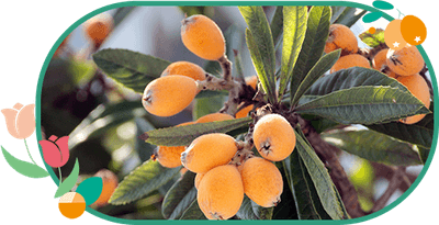 nJUBR7Vgjty16uiy5LX7.png?w=940&h=940