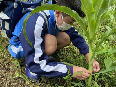 nJjvtlLh9lFNe9Wk6gqN.jpg?w=940&h=940