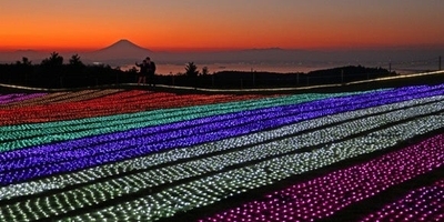 nKU54h31tKD6WaybnGHE.jpg?w=940&h=940