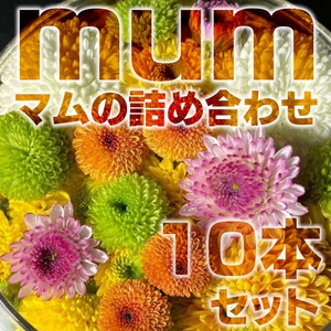 nMwz99GEFN3WkOBwaYUv.jpg?w=940&h=940