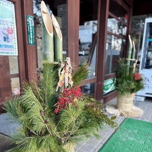 nNPI9RQCnd61ahsTaGHl.png?w=940&h=940