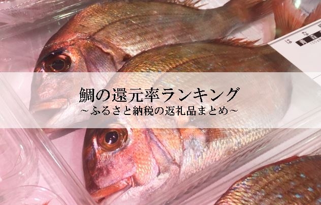 【2024年10月版】ふるさと納税でもらえる鯛の還元率ランキングを発表