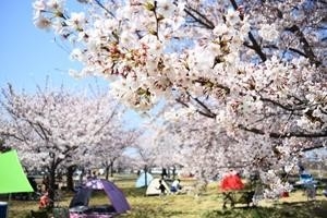 nNlOPgZZWFKtiKfBI9Hb.jpeg?w=940&h=940