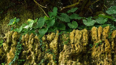 nNyroap9kbVg9vZClO47.jpg?w=940&h=940