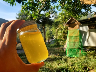 nOSKD9uXKCnBSXNoiCuv.jpg?w=940&h=940