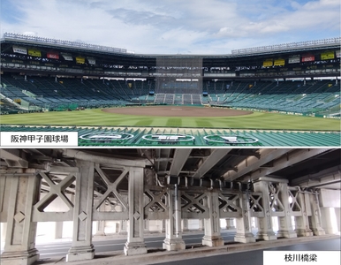 nOXkBHYcgIfgVw9S5U5T.jpeg?w=940&h=940