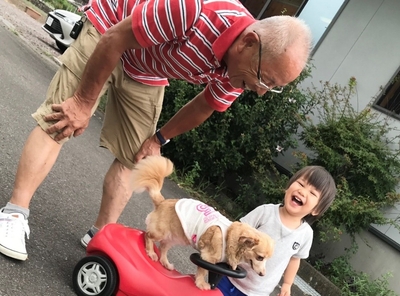 nP6dTaP0fJsKzFbNu34L.jpeg?w=940&h=940