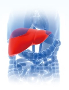 nPNEhuqwzVKMWK5UH62f.jpg?w=940&h=940