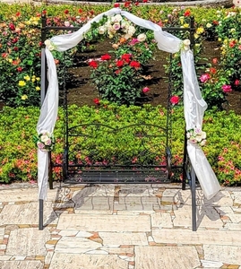 フォトスポット（昨年度の様子）