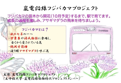 nQN3ASKkvN4zyYbaDzPH.jpg?w=940&h=940