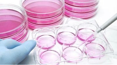 nQOzaZUJeUt7QzoJwr76.png?w=940&h=940