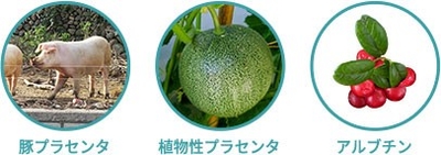 nT6TPHlsjXDGJKwCE56s.jpg?w=940&h=940