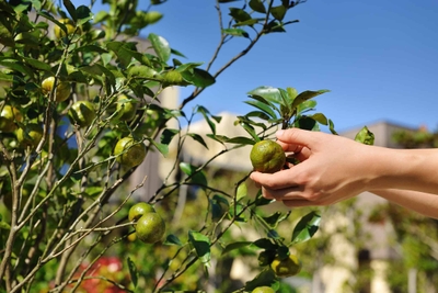 nTIQmWiPwYt09hDlatNU.jpg?w=940&h=940