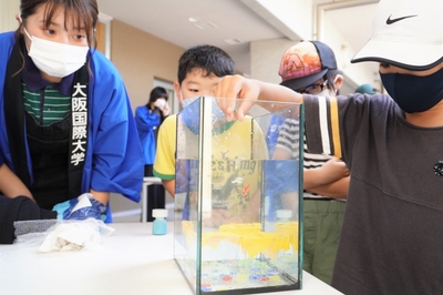 nTod8wd762B04peyTm3F.jpg?w=940&h=940