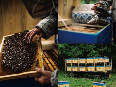 nTsZ6zg9XrTrloTovhab.jpg?w=940&h=940