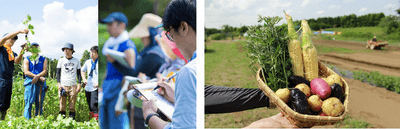 nUGl09i6AR7HB1fVA9k0.png?w=940&h=940