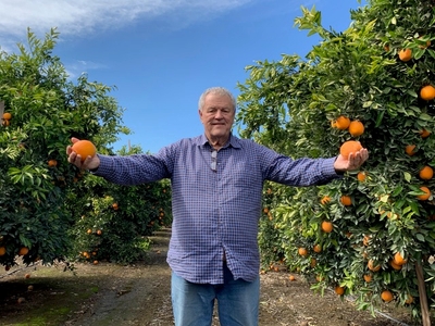 nUd0s71RZ56F36LDZqZC.jpg?w=940&h=940