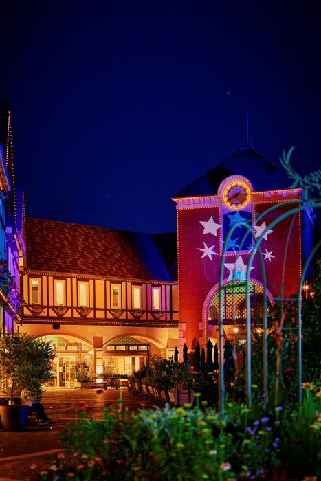 光の森~Forest of Illuminations~森の大聖堂 2025年サマーバージョン 幻想的空間