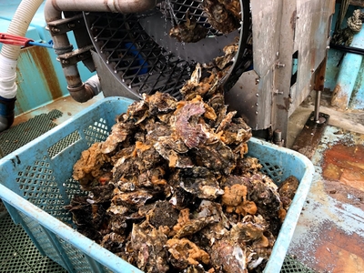 nUfZWPZ0IyRFMlqgk7U3.jpg?w=940&h=940