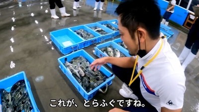 nUxfFOwpfZPgh6kbpAsm.jpg?w=940&h=940