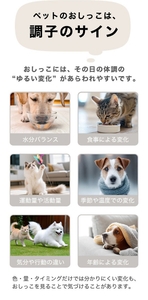 nV5JTLthHXYQ7SLk74CW.jpeg?w=940&h=940